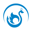 Logo Sruti